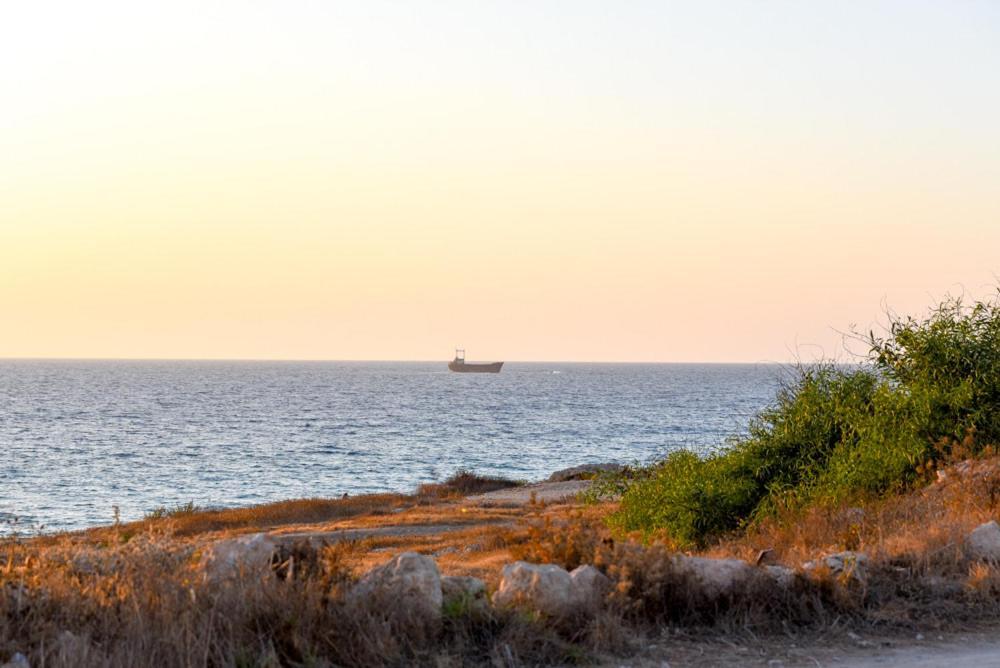 Beautiful Apartment Near The Sea And A Large Private Garden Paphos 外观 照片